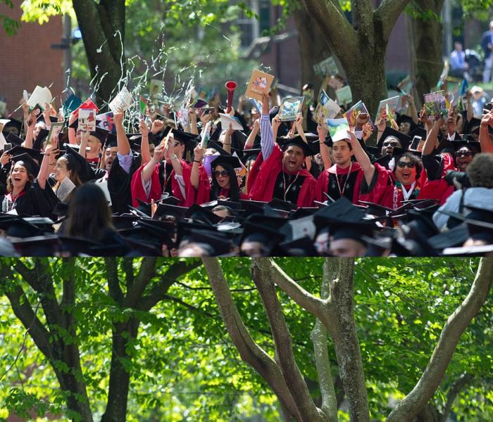Gradutates
